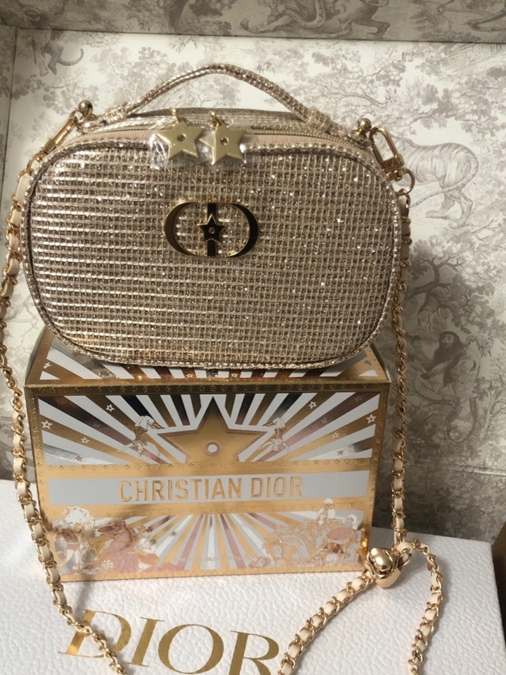 Dior Beauty Gold Pouch